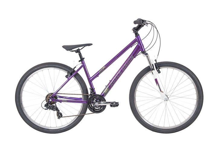 76338 RMT 21 speed Mountain bike