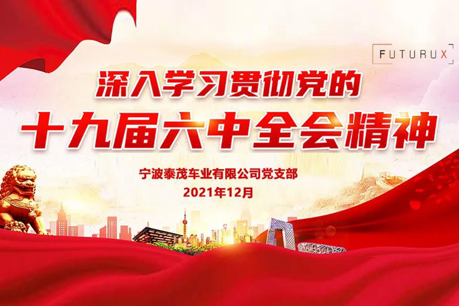 The Party Branch of Tekmax Bicycle Co., Ltd. studied the spirit of the Sixth Plenary Session of the 19th Central Committee of the Party