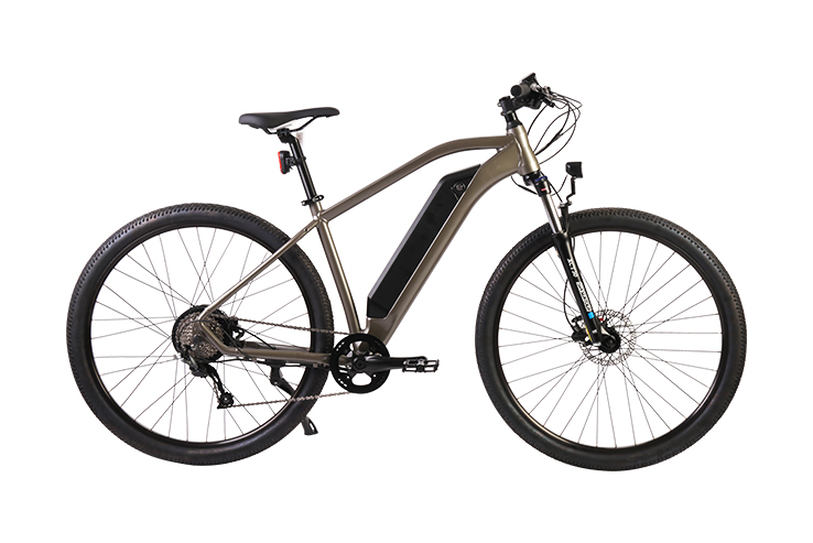 FX-E220089 E-MOUNTAIN Beach Bike: Conquering Sand and Surf with Ease