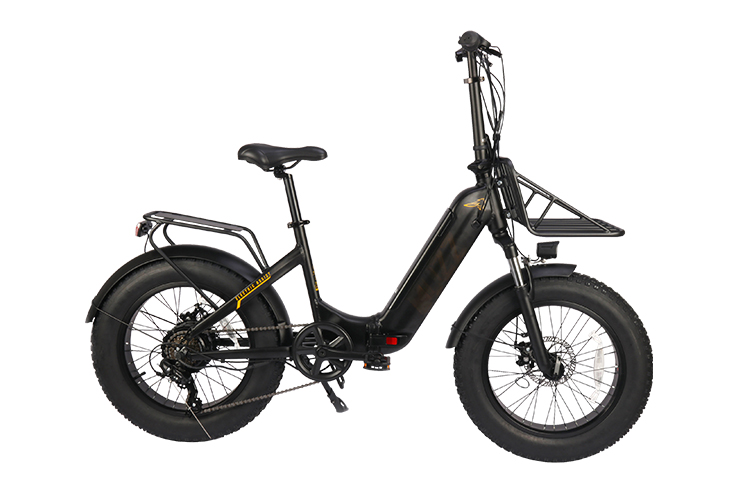 FX-E200006 E-FOLDING Beach Bike