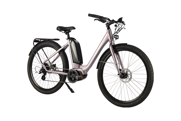 FX-E20011 E-COMFORT Beach Bike: Embrace the Ultimate Joyride on Coastal Adventures