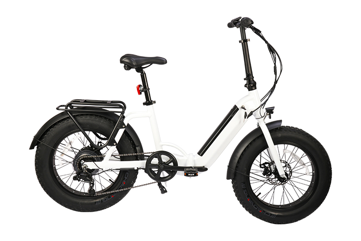 FX-E200005 E-FOLDING Beach Bike