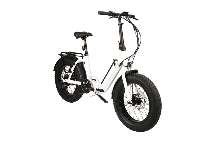 FX-E200005 E-FOLDING Beach Bike