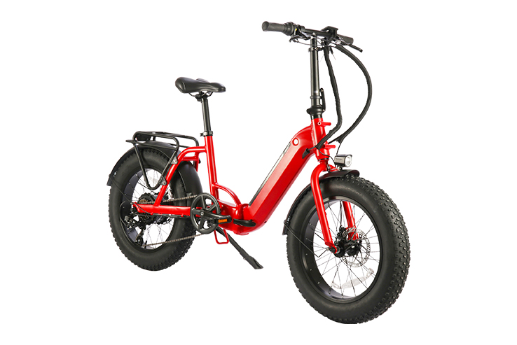 FX-E200005 E-FOLDING Beach Bike